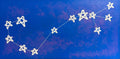 Scorpio 24"x 48"